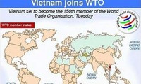 5 years of Vietnam’s WTO membership: enterprises make positive steps forwards